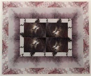 Metamorphosis: Pamela Becker '64